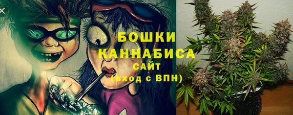 крисы Белокуриха