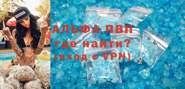 крисы Белокуриха