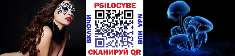 Псилоцибиновые грибы Psilocybe  Мариинский Посад 